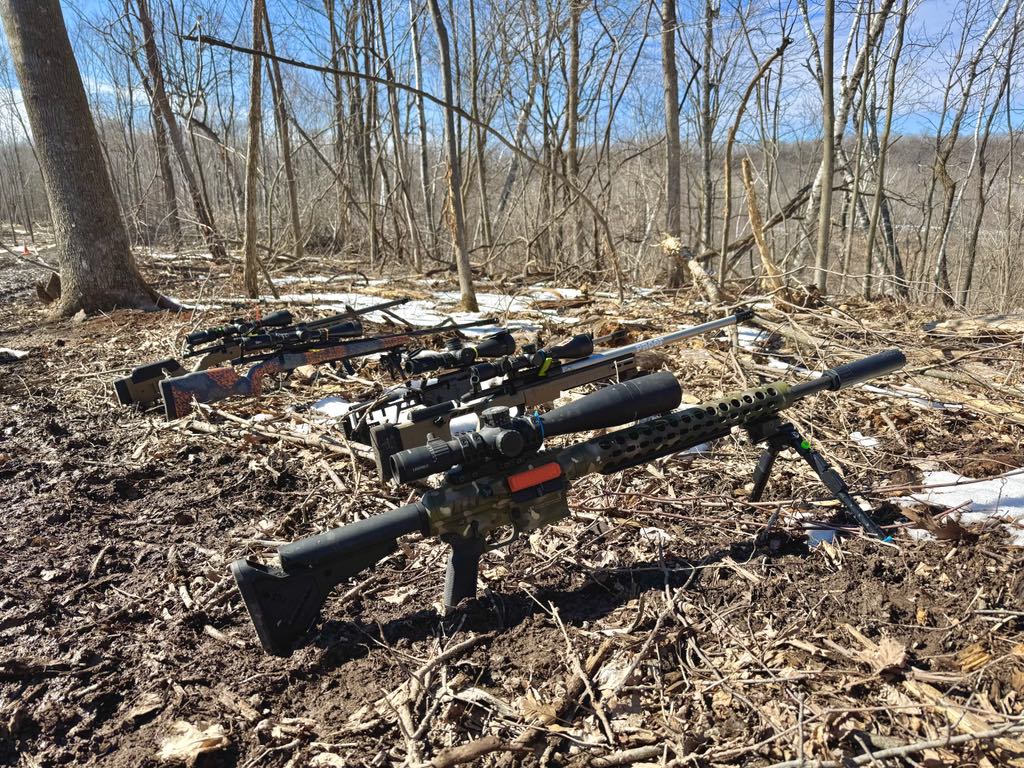 Rifles lined up