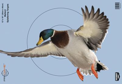 Dirty Bird PreGame Animal Targets Duck 12x18 Inch 8 Per Package