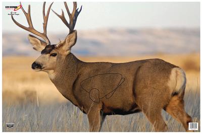 Eze-Scorer Mule Deer Target Folded 23x35 Inch 2 Per Package