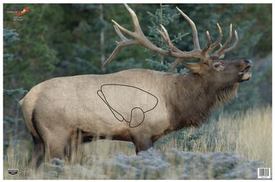 Eze-Scorer Elk Target 23x35 Inch 100 Per Case