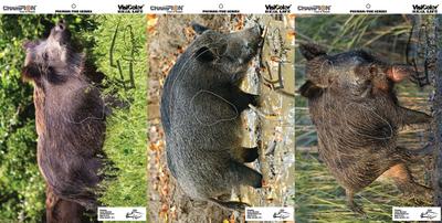 VisiColor Real Life Targets Pigman Variety Pack 12x18 Inches
