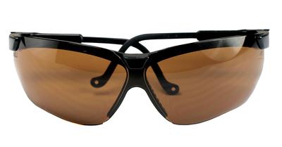 Genesis Glasses Black Frame Espresso Lens