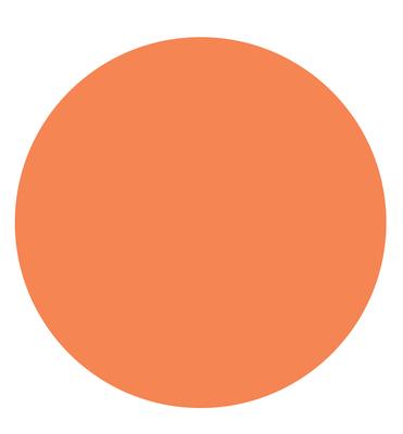 Targ-Dots 2 Inch 45 Per Roll