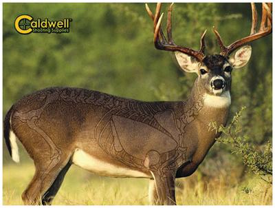 Natural Series Whitetail Deer Target Kit
