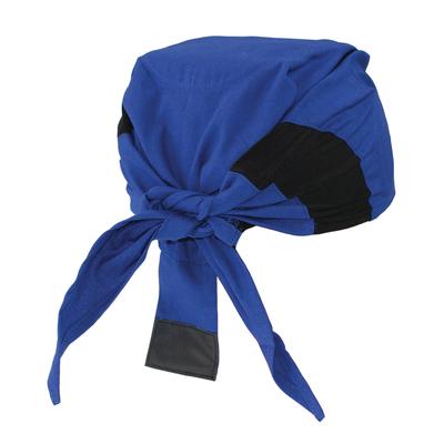 Arctic Skull Head Shade Blue