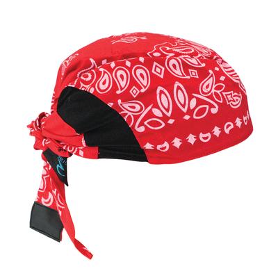 Arctic Skull Head Shade Red Paisley