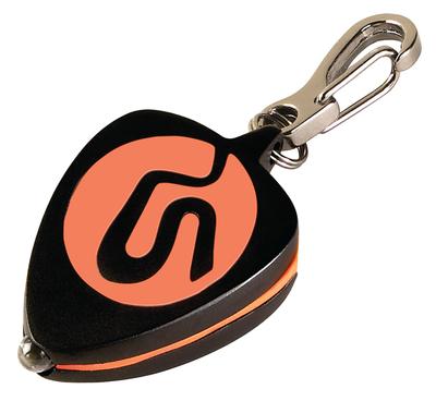 Logo Keychain Light