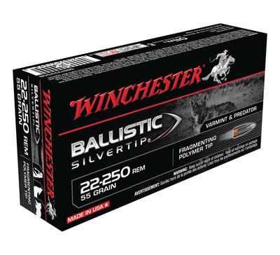 Ballistic Silvertip .22-250 Remington 55 Grain