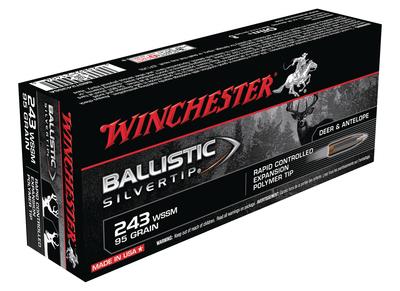 Ballistic Silvertip .243 Winchester Super Short Magnum 55 Grain