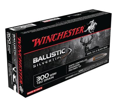Ballistic Silvertip .300 Winchester Short Magnum 180 Grain