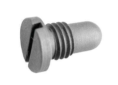 Anti-Rotation Screw