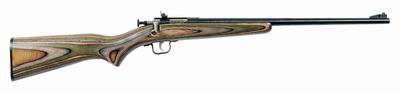 Model 252 Youth With Lock .22 Long Rifle 16.125 Inch Barrel Blue Finish Laminated Camouflage Stock