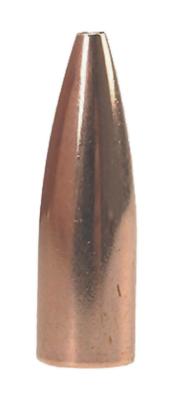 Varmint Bullets .224 Diameter 45 Grain Hornet