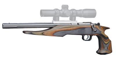 Chipmunk Hunter Bolt Action Pistol .22 Long Rifle 10.5 Inch Fluted Barrel Stainless Steel Finish Laminated Barracuda Stock Camouflage Finish Williams Firesights