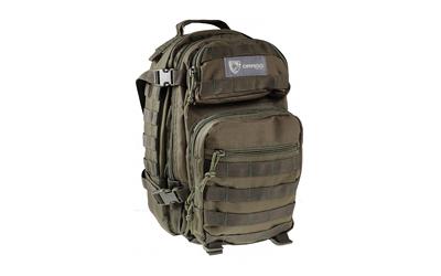 Scout Backpack, Green, 16"x10"x10", Green 14-305GR