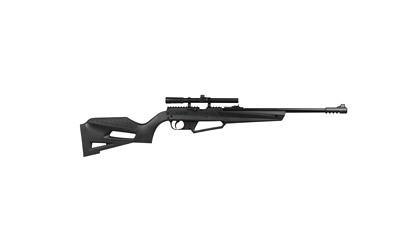 APX, .177 Pellet, 20" Barrel, Synthetic Stock, Single Shot, Black Finish, 800 Feet Per Second, Scope, Glasses, BBs, Pellets, & Targets 2251601