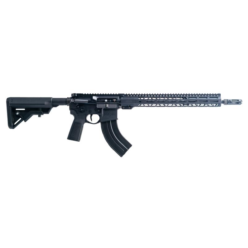 Sentry, Semi-automatic Rifle, AR-15, 338 ARC, 16" Threaded Barrel, Anodized Finish, Black, B5 Grip, 10 Rounds, 1 Magazine FX338A216