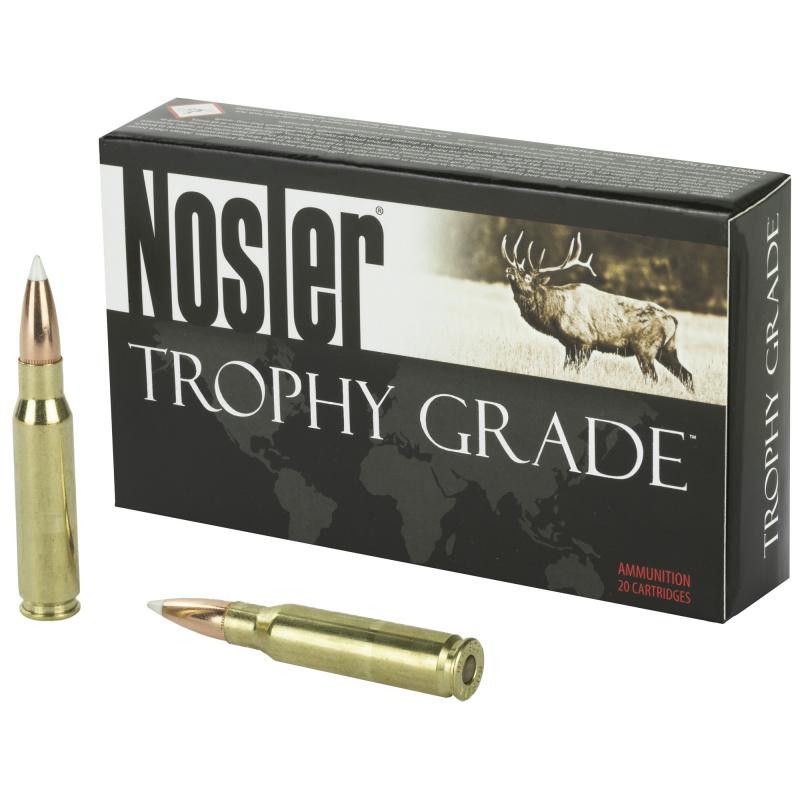 Trophy Grade .308 Winchester 165 Grain AccuBond