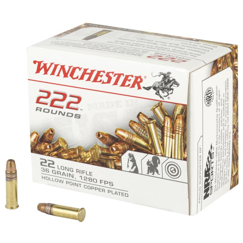22 Long Rifle Bulk Pack 36 Grain Copper Plated Hollow Point 1280 FPS 222 Rounds per Box