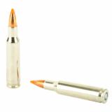 Premium, 222REM, 40 Grain, Nosler Ballistic Tip, 20 Round Box P222C