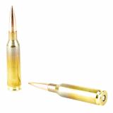 Ammo, 416 Barrett Range Ammo, 452Gr, Boat tail Hollow Point, 10 Rounds per Box, 3,050fps 17222-R