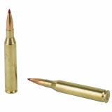Precision Hunter, 25-06 Rem, 110 Grain, ELD-X, 20 Round Box 8143