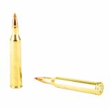 Varmint Express .220 Swift 55 Grain V-Max