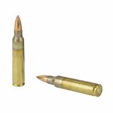 FRONTIER 223 REM 55 GR FMJ 150 Rounds