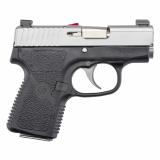 P380 .380 ACP 2.5 Inch Barrel Matte Stainless Slide Bar Dot Sight 6 Round California Approved