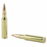 Trophy Grade Match .308 Winchester 168 Grain Custom Competition