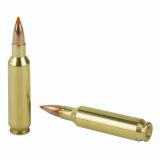 Trophy, 22 Nosler, 55Gr, Ballistic Tip, 20, 200 61030