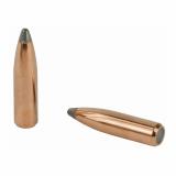 Partition Bullets .243 Diameter 100 Grain Spitzer