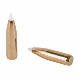 AccuBond Bullets .243 Diameter 90 Grain Spitzer
