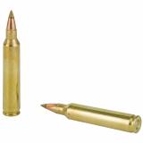 .204 Ruger 32 Grain AccuTip Varmint