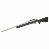 10/22 Light Varmint Target, TALO Edition, Semi-automatic Rifle, 22 LR, 20" Threaded Barrel, Hogue Overmolded Stock, Satin Finish, Silver, 10 Rounds, 1 Magazine 31236
