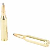 Rifle Ammunition .243 Winchester 100 Grain Soft Point