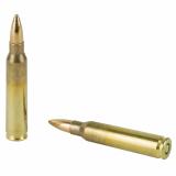 Sellier & Bellot, Rifle, 556 NATO, 55Gr, Full Metal Jacket, 20 Round Box 556A