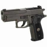 P229 Legion | 9MM, 3.9" Barrel, Alloy, Legion Gray, Black G10 Grips, XRAY3 Day/Night Sights, Optic Ready, Decocker, 15 Rounds, P-SAIT Trigger, 3 Magazines Double Action/Single Action, Semi-automatic, Metal Frame Pistol, Compact, E29R-9-LEGION-R2