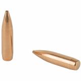 Match Bullets .224 Diameter 77 Grain Hollow Point Boattail Requires A 1x7 to 1x8 Inch Twist Barrel 500 Per Box
