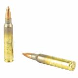 USA Lake City |223 Remington, 55Gr, Full Metal Jacket, 20 Rounds