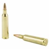 Varmint X Lead Free .22-250 Remington 38 Grain Hollow Point