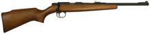 Armscor 51013A