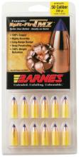 Barnes 30589