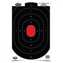 Birchwood Casey 35601