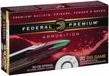 Federal P300WTC2