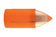Nosler 50300