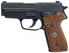Sig Sauer 225A-9-BSS-CLW