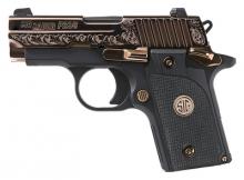 Sig Sauer 238-380-ERG