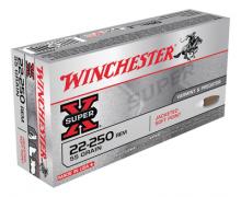Winchester X222501