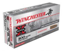 Winchester X3001